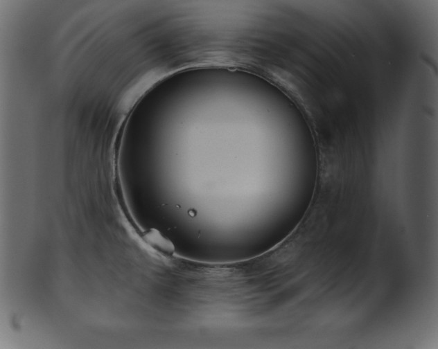 X0000102021479200807181315