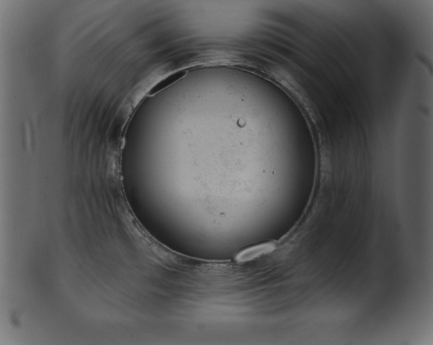 X0000102021481200807181314