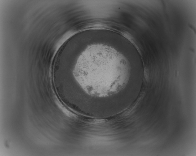 X0000102021482200807181314