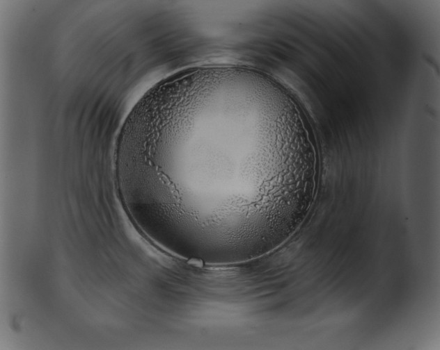 X0000102021483200807181314