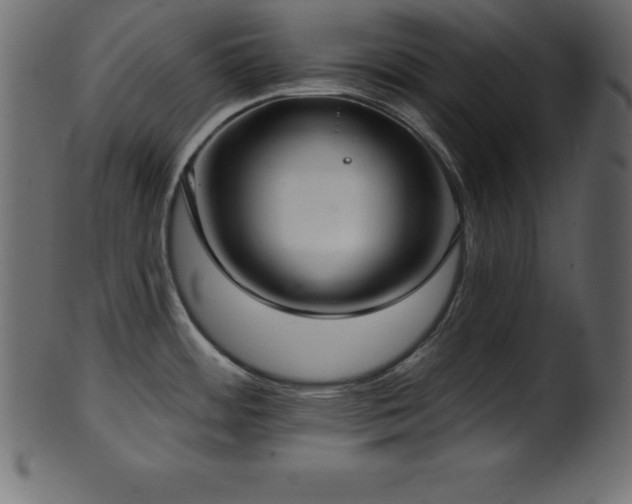 X0000102021484200807181314