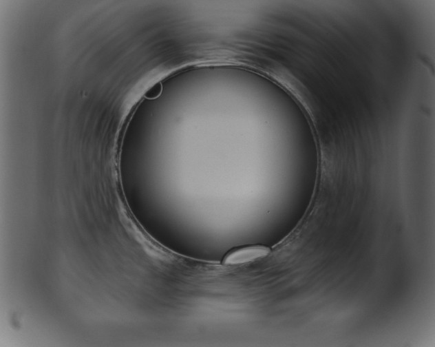 X0000102021485200807181314