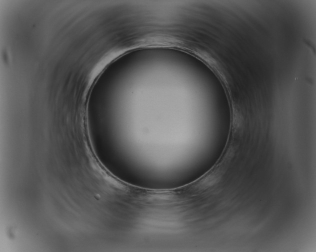X0000102021486200807181314