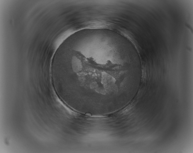 X0000102021487200807181314