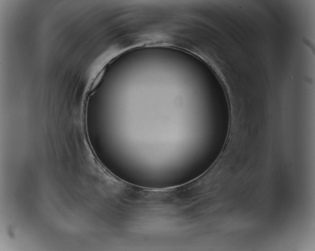 X0000102021488200807181314