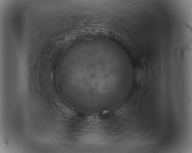 X0000102021489200807181314