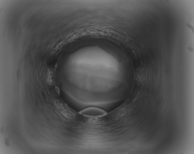 X0000102021490200807181314