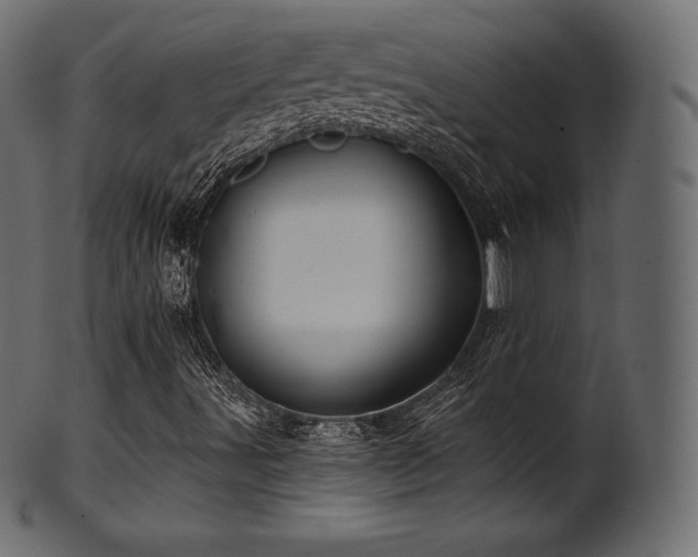 X0000102021491200807181314