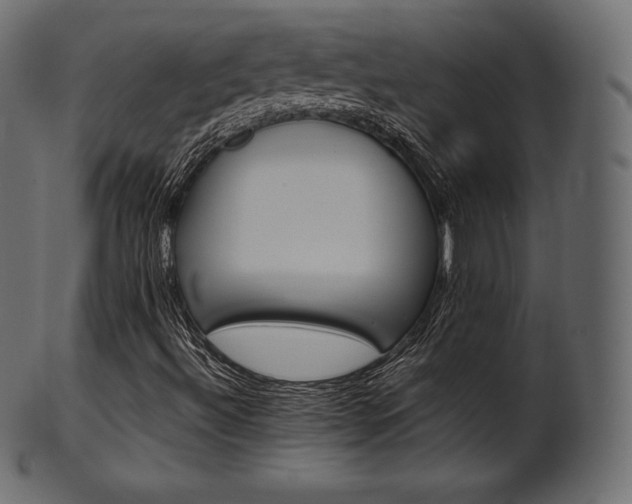 X0000102021492200807181314