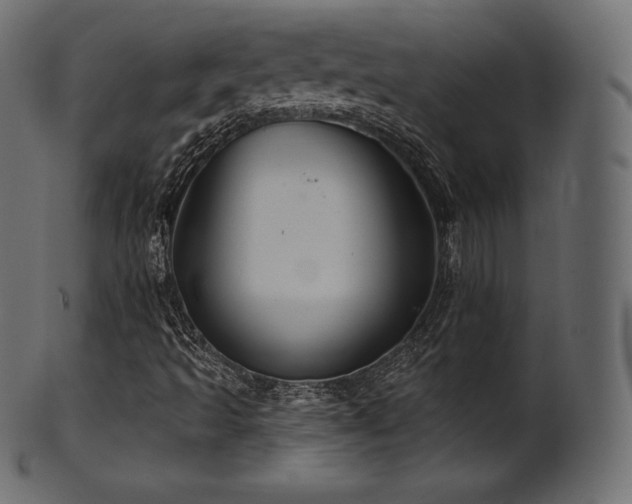 X0000102021493200807181314