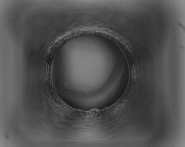 X0000102021494200807181314