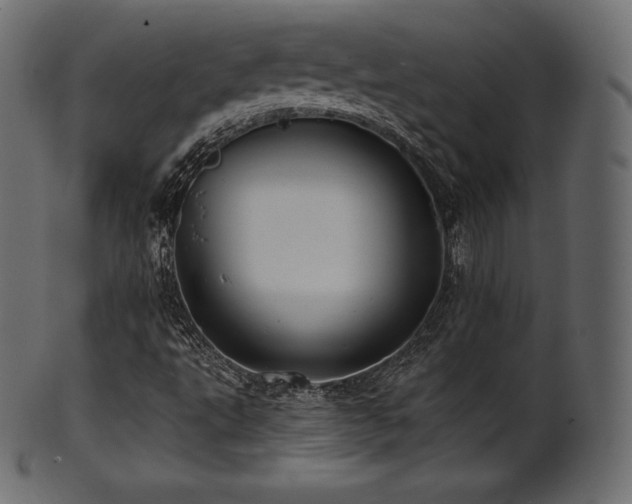 X0000102021495200807181314