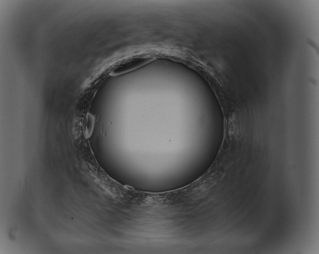 X0000102021496200807181314