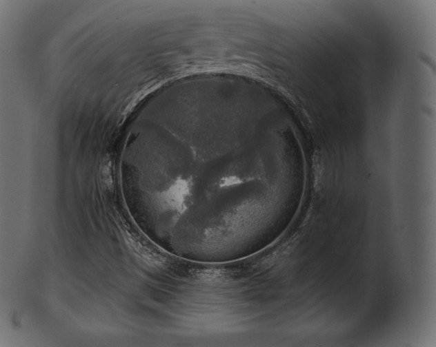 X0000102021497200807181314