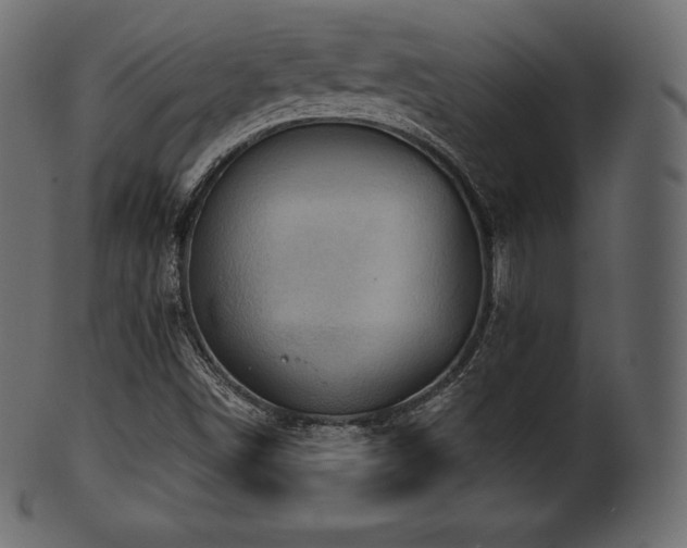 X0000102021498200807181314
