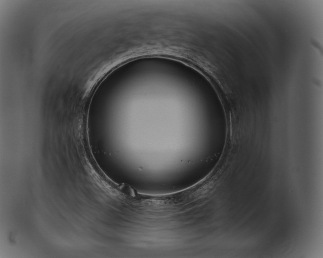 X0000102021500200807181314