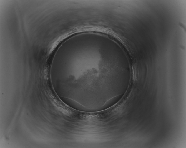 X0000102021501200807181314
