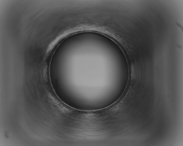 X0000102021502200807181314