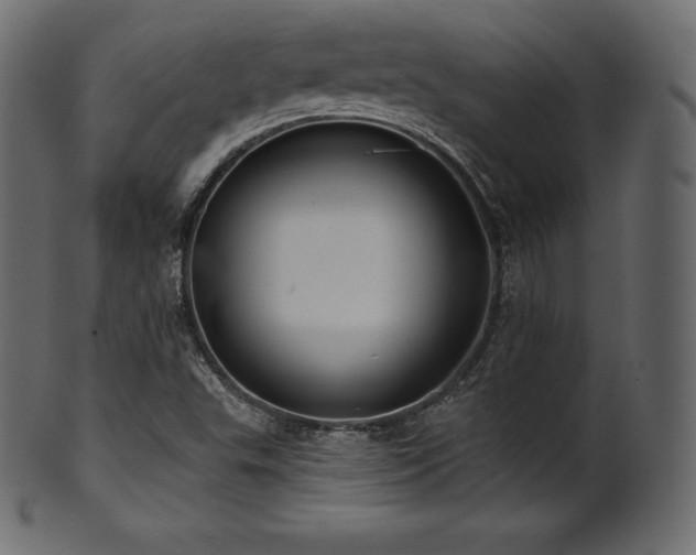 X0000102021503200807181314