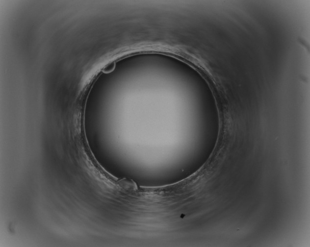 X0000102021504200807181314
