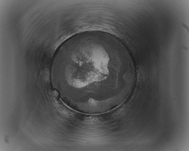 X0000102021505200807181314