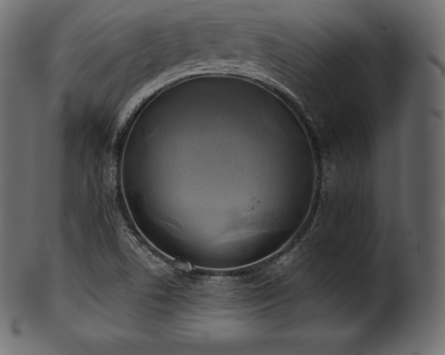X0000102021506200807181314