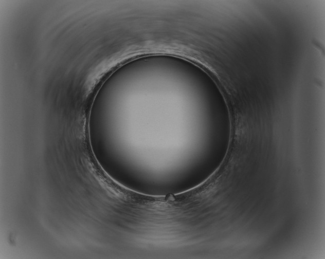 X0000102021507200807181314