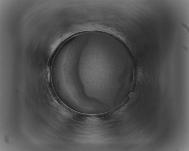 X0000102021509200807181314