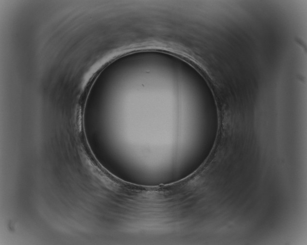 X0000102021510200807181314