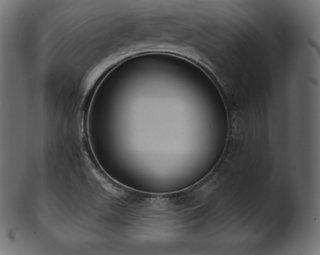 X0000102021511200807181314