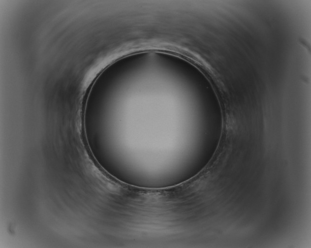 X0000102021512200807181314