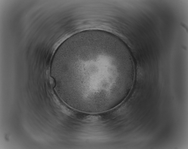 X0000102021513200807181314