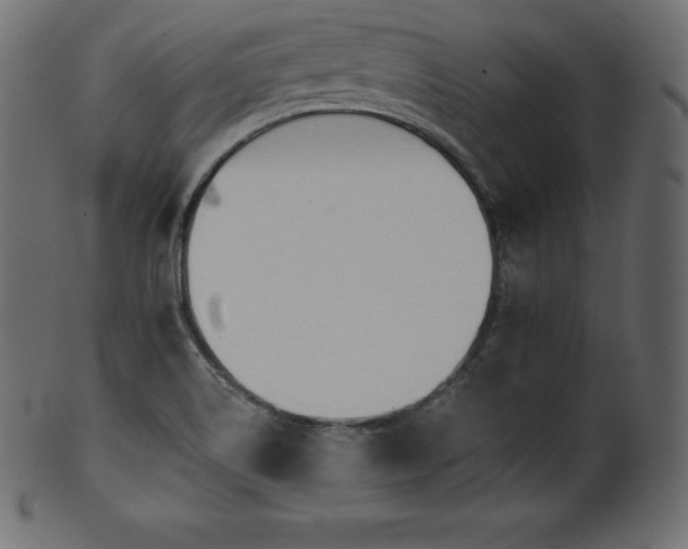 X0000102021514200807181314