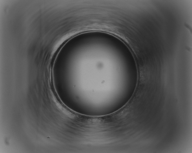 X0000102021515200807181314