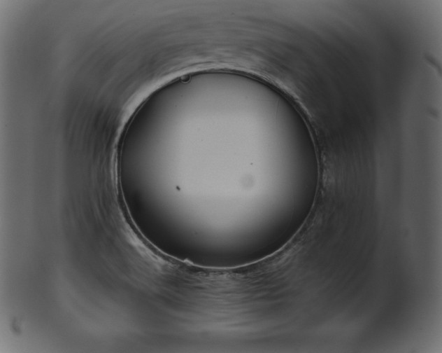 X0000102021516200807181314