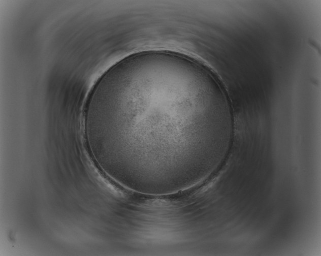 X0000102021517200807181314