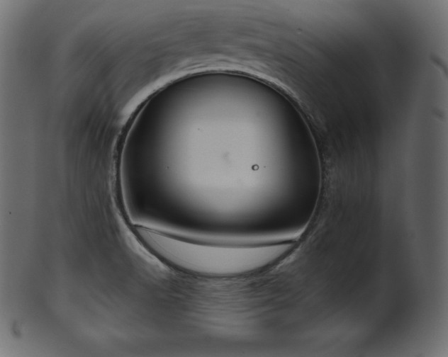 X0000102021518200807181314