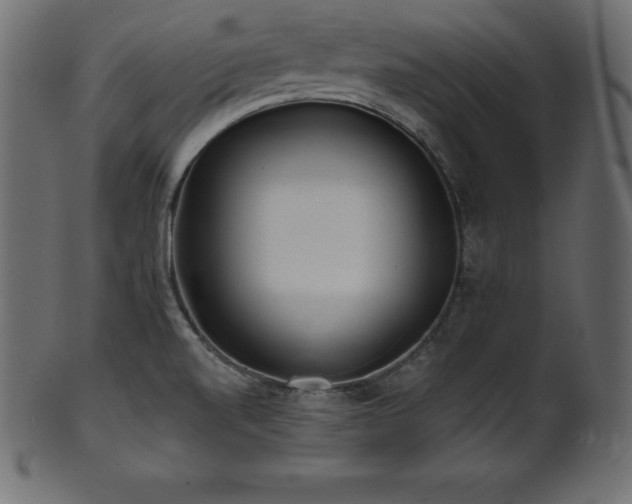 X0000102021520200807181314