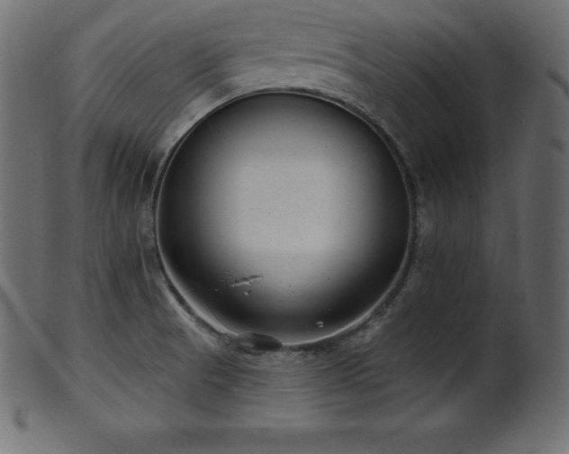 X0000102021521200807181314