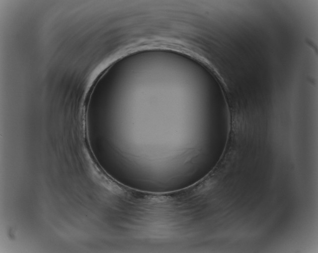 X0000102021522200807181314