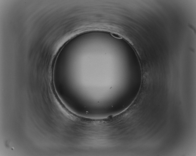 X0000102021523200807181314