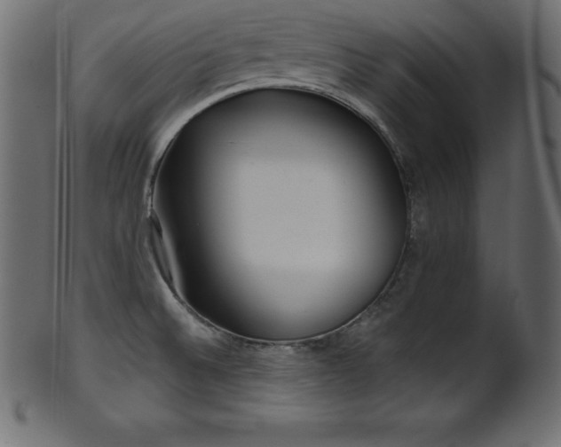 X0000102021524200807181314