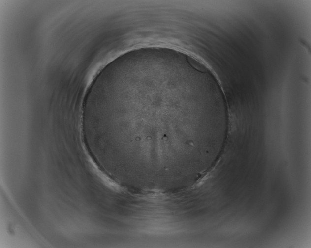 X0000102021525200807181314