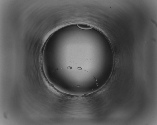 X0000102021526200807181314