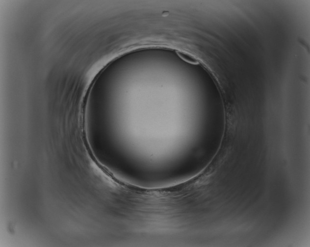 X0000102021527200807181314