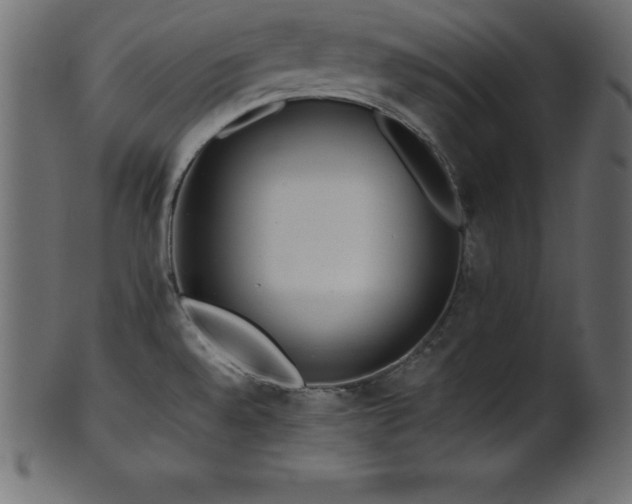 X0000102021528200807181314