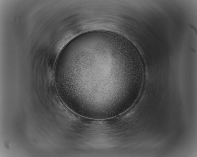 X0000102021529200807181314