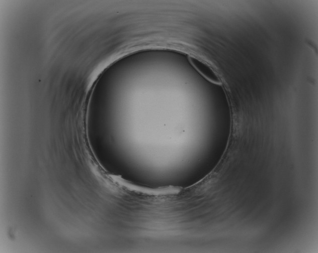 X0000102021530200807181314