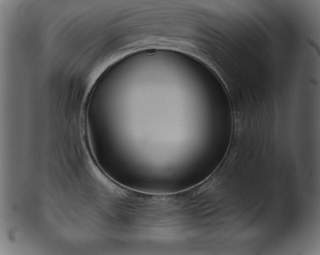 X0000102021531200807181314