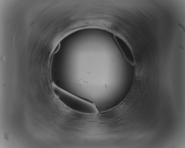 X0000102021532200807181314